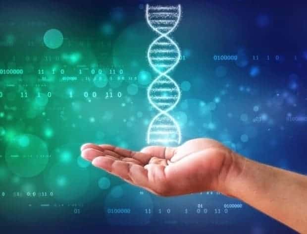 Genetic predisposition in bipolar disorder