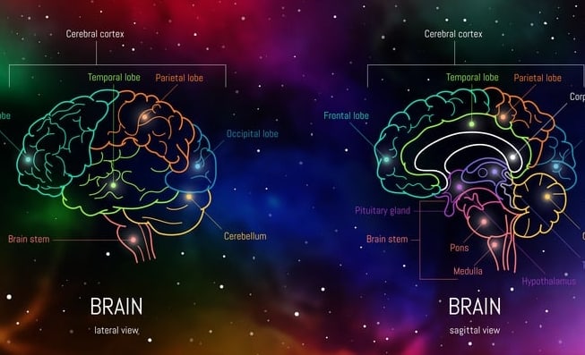 Two colorful images of a brain on a dark background.  The brain parts are named and the brain on the right shows the brain and pathways that are affected by smoking addiction