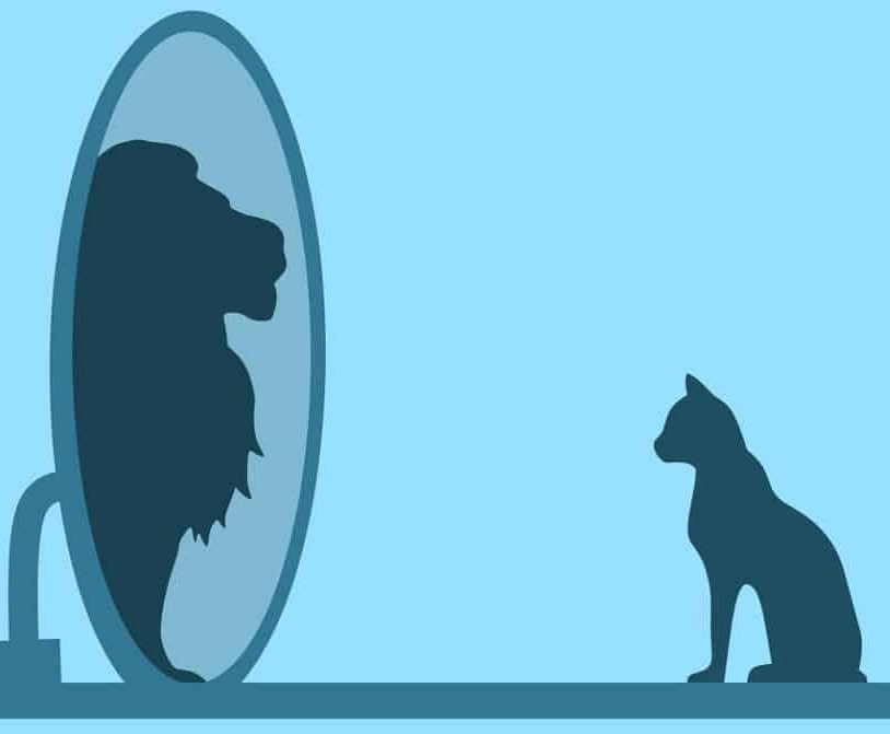 Treatment of Psychoses at CHMC in Dubai. Delusion of grandeur