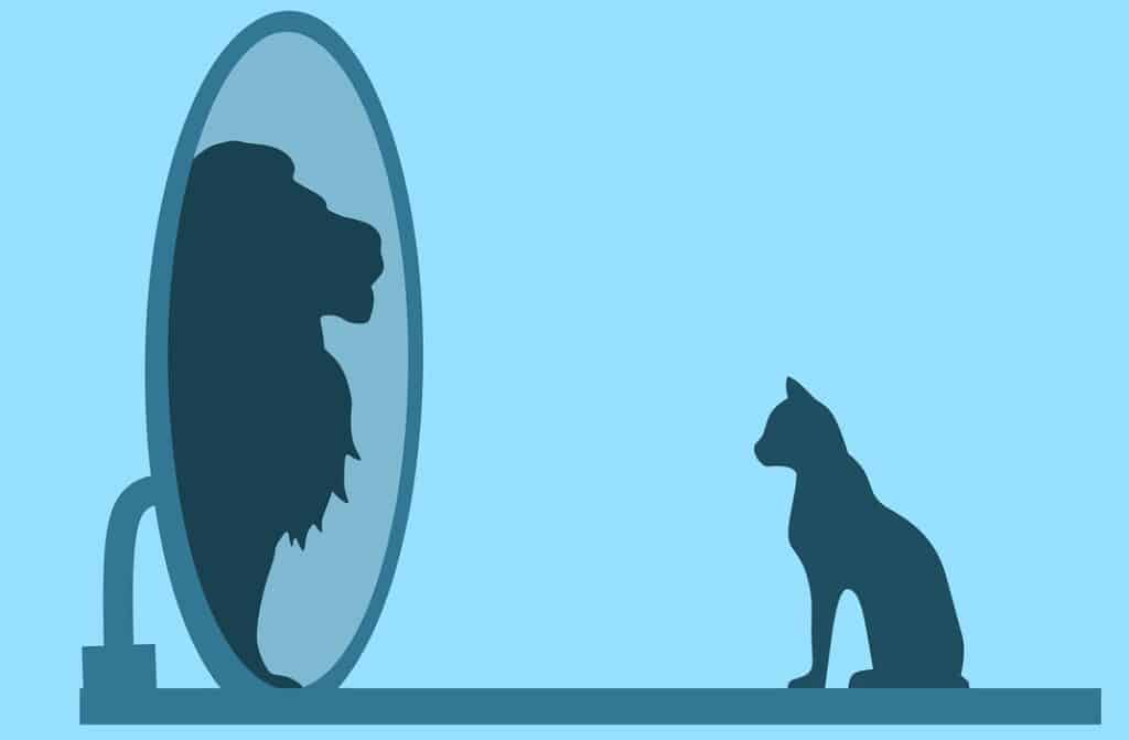 Psychosis. The picture shows a painting of a cat looking in the mirror seeing a shape of a lion 