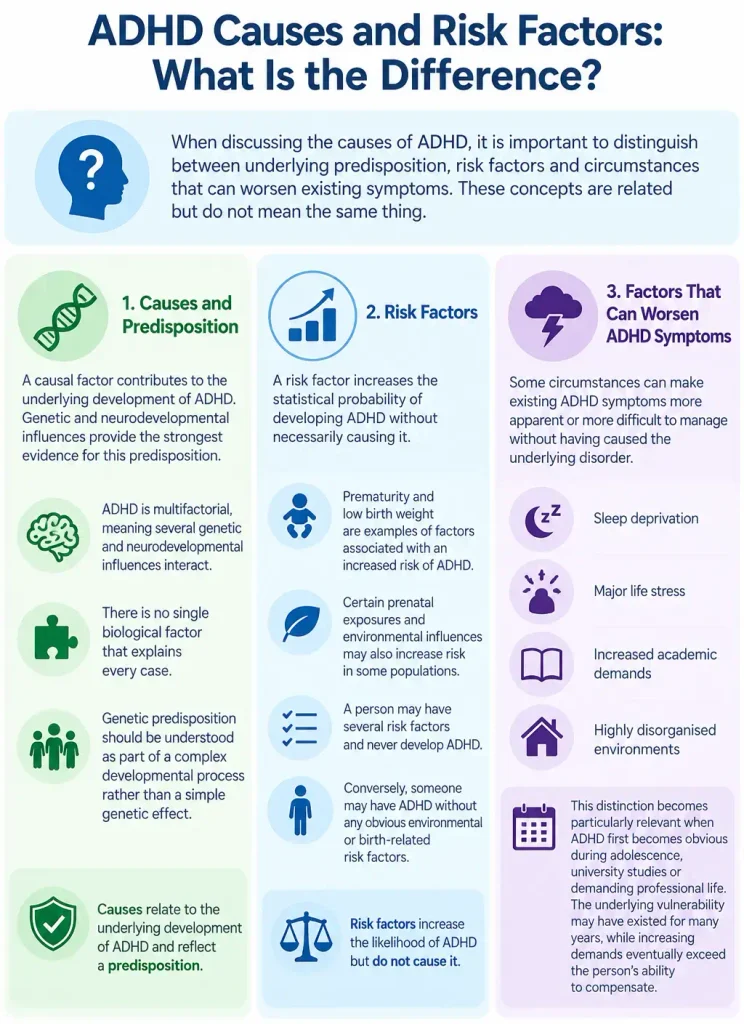 Infographic explaining the difference between ADHD causes, genetic predisposition, developmental risk factors and circumstances that worsen existing ADHD symptoms.