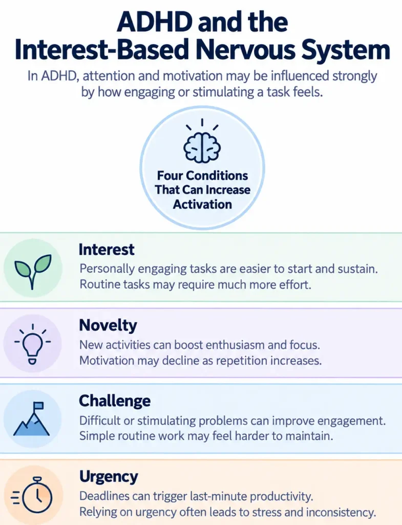 ADHD and motivation infographic illustrating how interest, novelty, challenge and urgency influence attention, task initiation and engagement in people with ADHD.