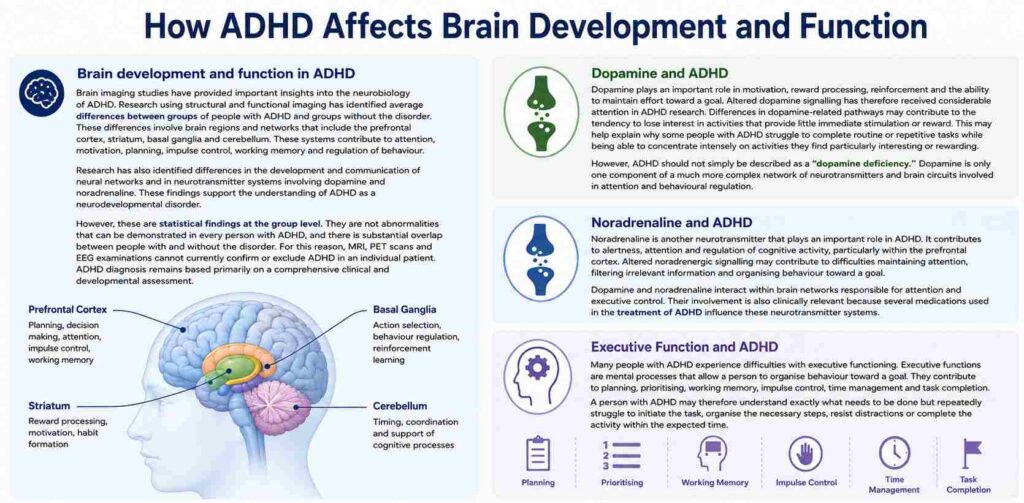 Is ADHD Genetic? Family History and Heredity