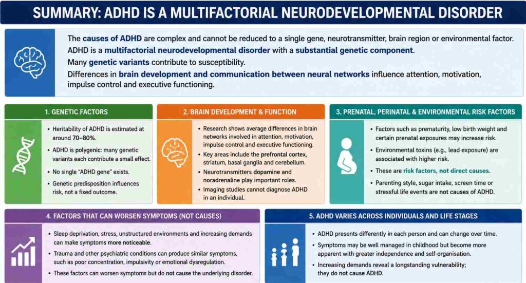 ADHD Is a Multifactorial Neurodevelopmental Disorder