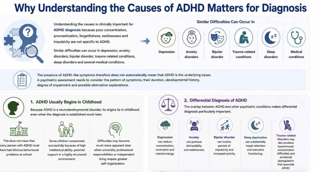 Why Understanding ADHD Causes Matters for Treatment