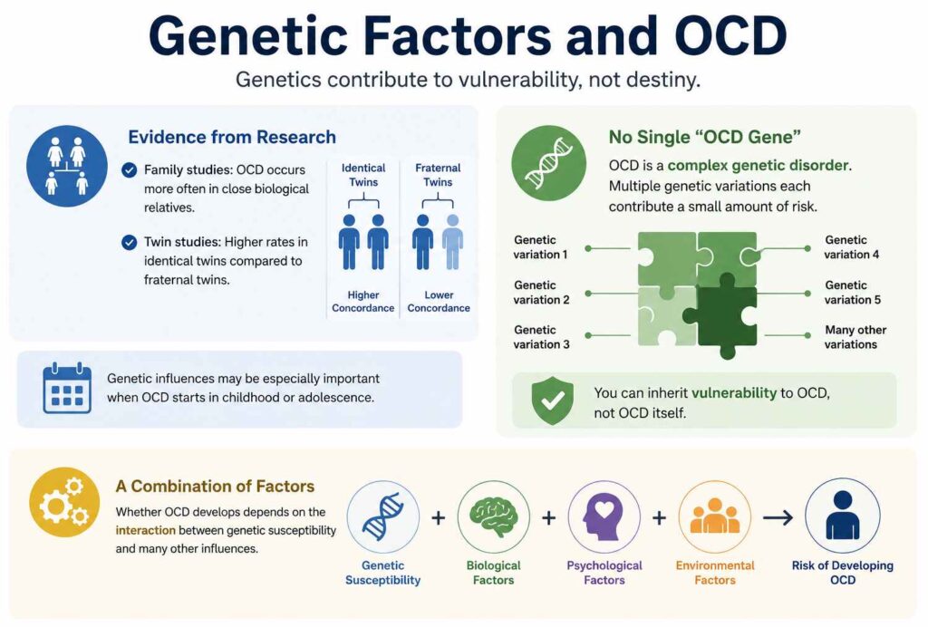 Genetic Factors and OCD