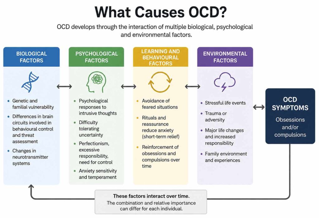 What Causes OCD?