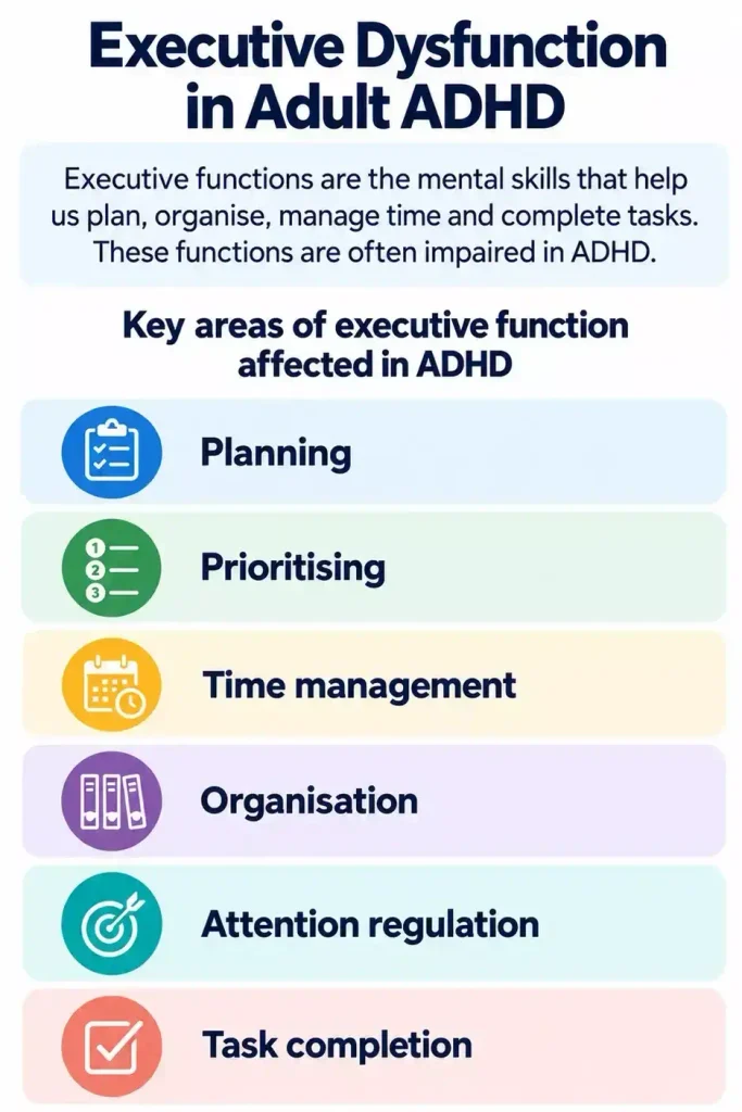 Executive dysfunction in adult ADHD affecting planning, organisation, time management and task completion