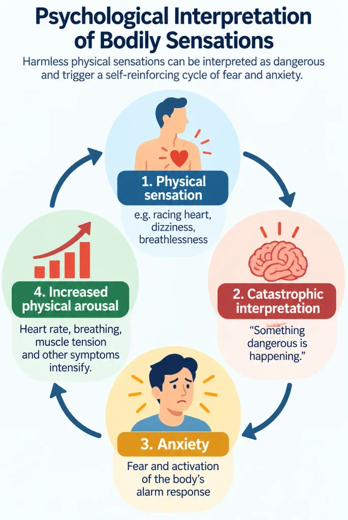 Diagram showing how physical sensations, catastrophic interpretations, anxiety and increased bodily arousal reinforce panic attacks.