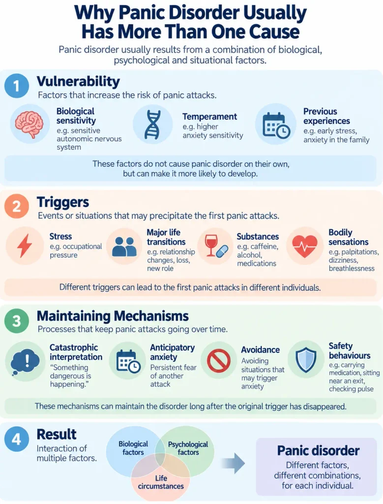 Three-part model of panic disorder showing biological vulnerability, panic attack triggers and factors maintaining anxiety.