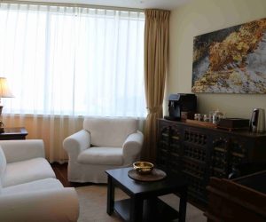 American counsellor dubai